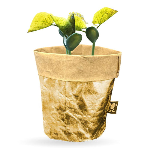 Gold Eco Pot