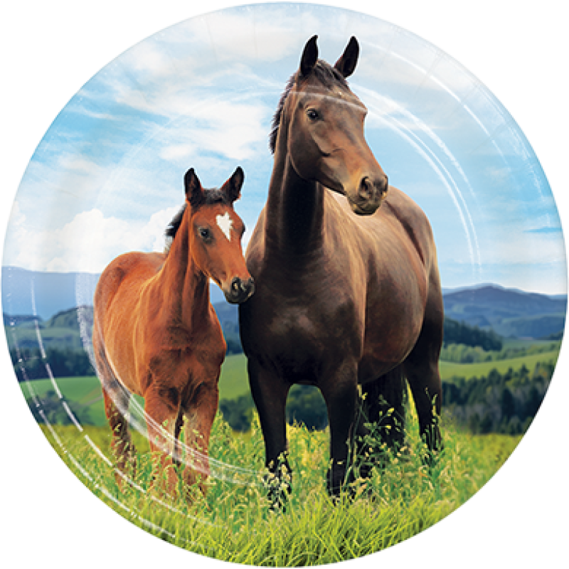 Horse and Pony Paper Snack Plates