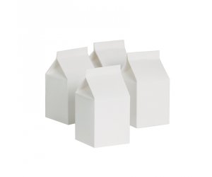 Milk Box Party Favour Box White