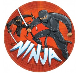 Ninja party dinner plates