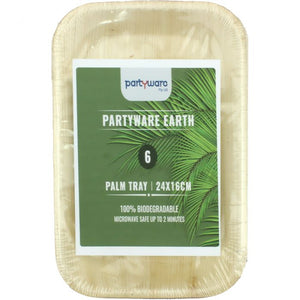 Palm Leaf Plates 24x16cm